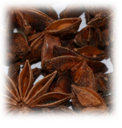 Sternanis ganz