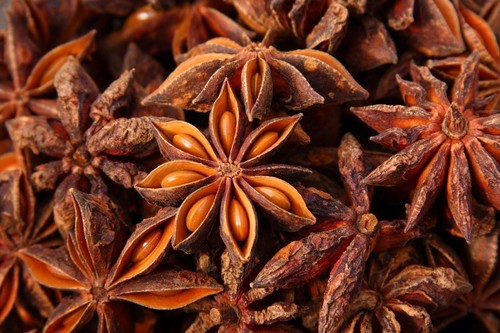 Sternanis anis 100 - **sternanis/, anis: